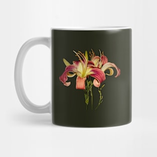 Dark Pink Lilies With Yellow Centers Mug